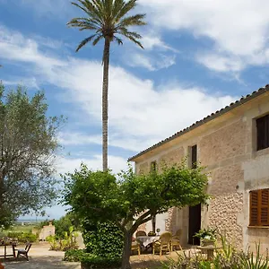 Es Pla De Llodrá Manacor (Mallorca)